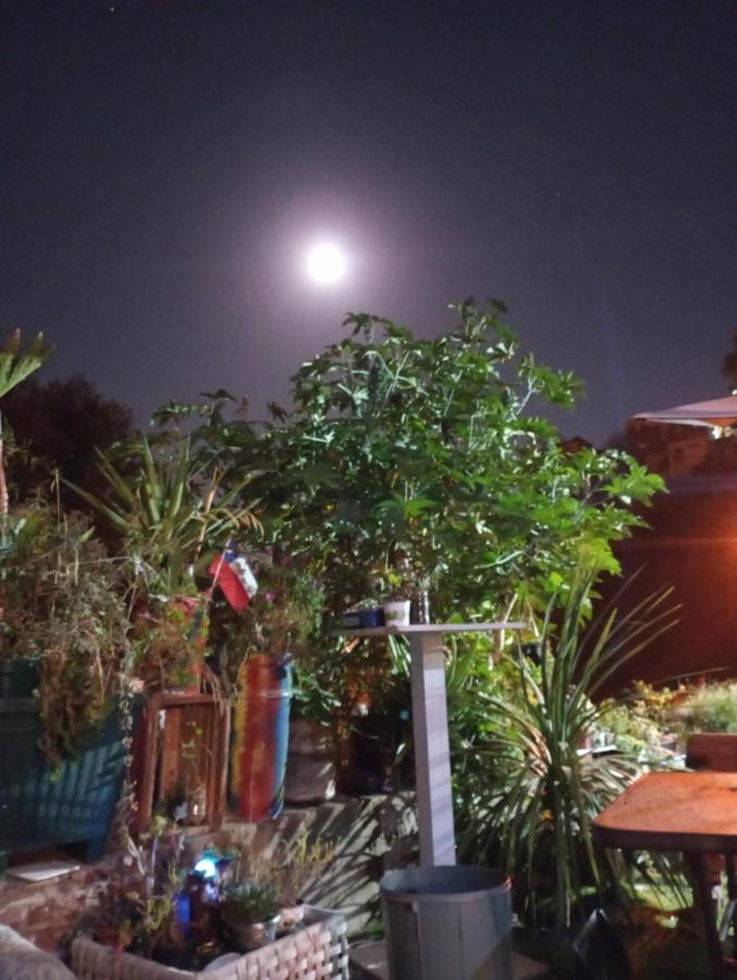Selva Hospedaje Valparaíso Exteriér fotografie