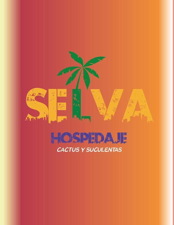 Selva Hospedaje Valparaíso Exteriér fotografie