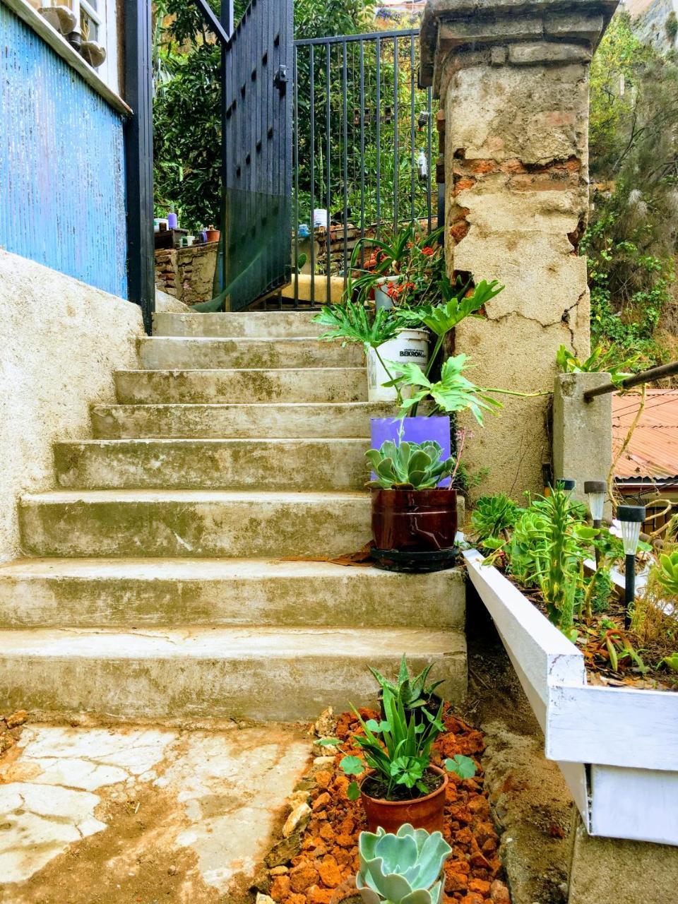 Selva Hospedaje Valparaíso Exteriér fotografie