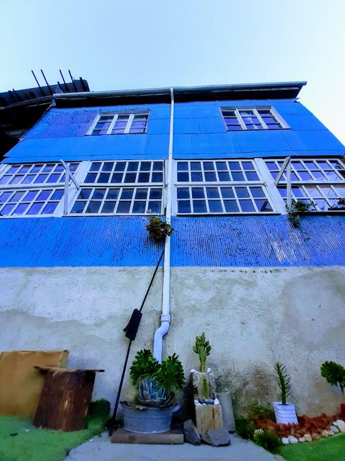 Selva Hospedaje Valparaíso Exteriér fotografie